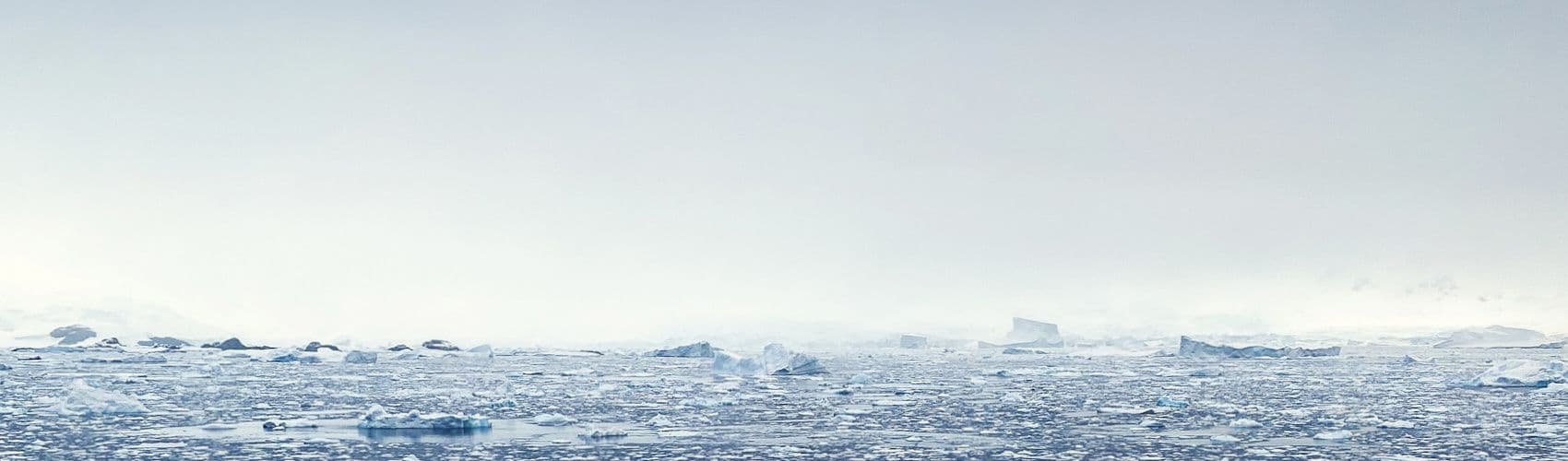 Antarctic Endurance - krill harvesting vessel